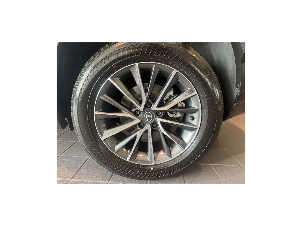 image-5