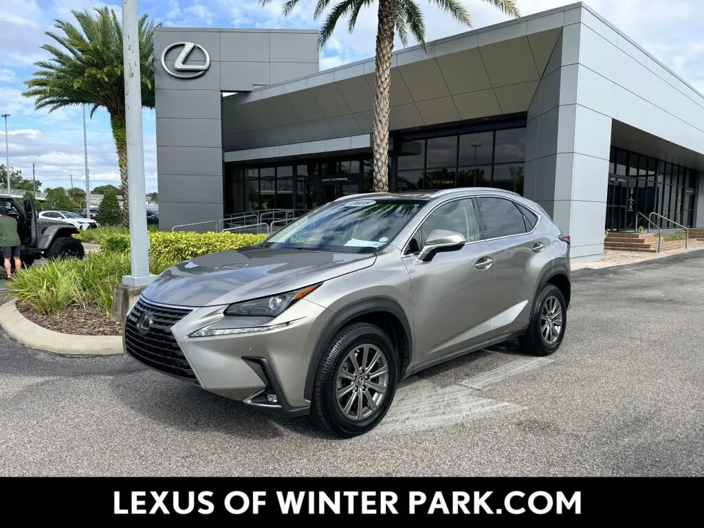 2018 Lexus NX 300's photo