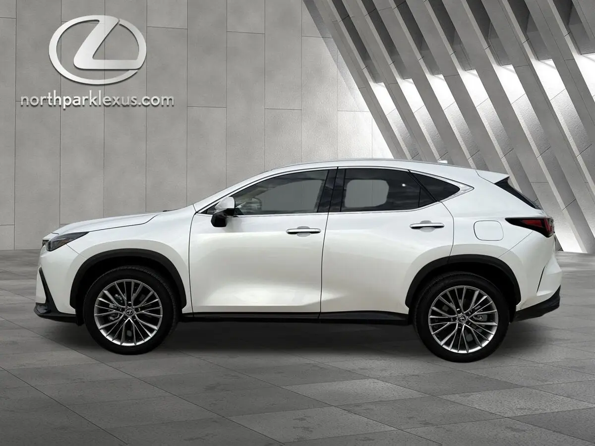 2025 Lexus NX 350's photo