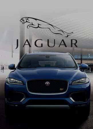 Jaguar Buffalo