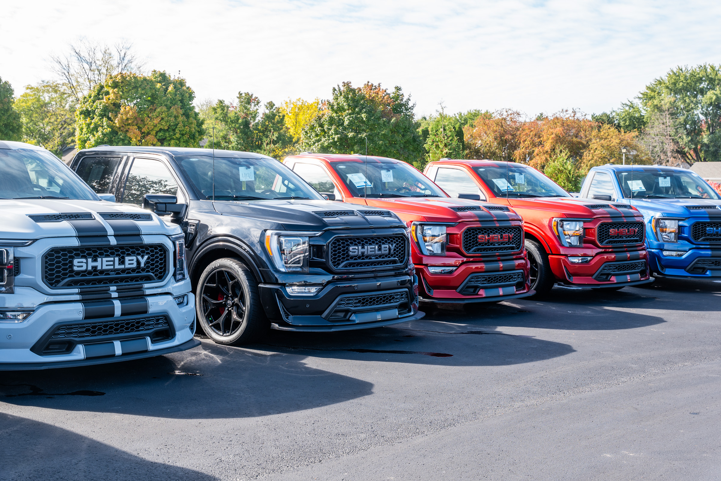 Shelby SuperCharged Trucks parked in a line