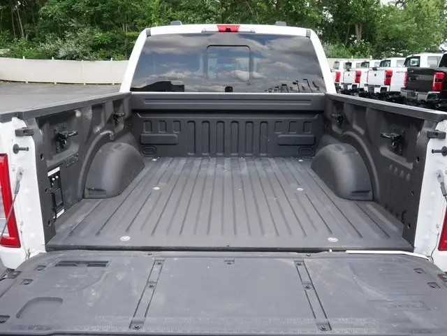 image-11
