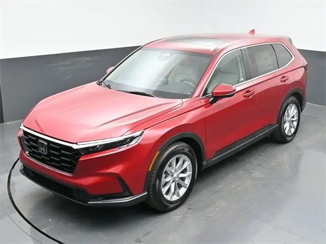 image-14