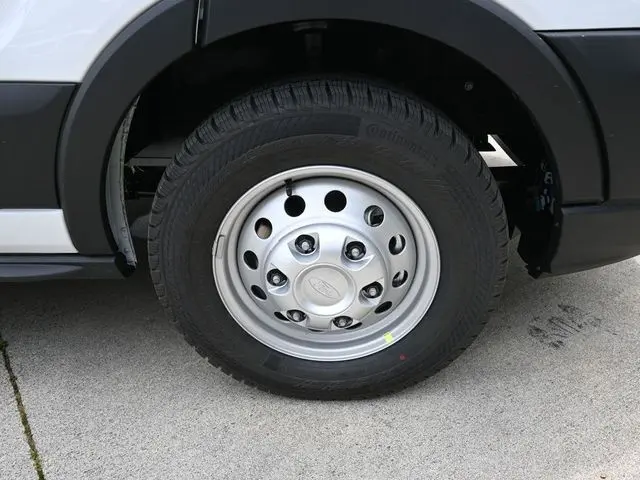image-19