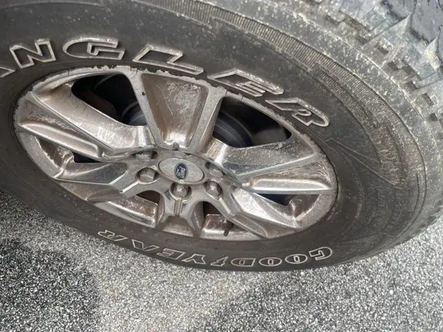 image-7