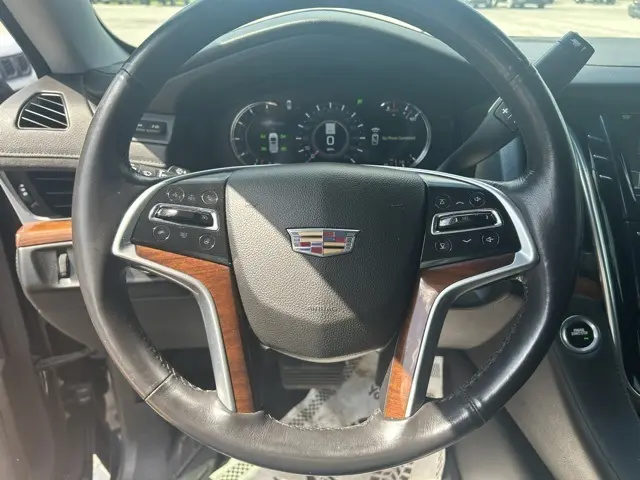 image-15