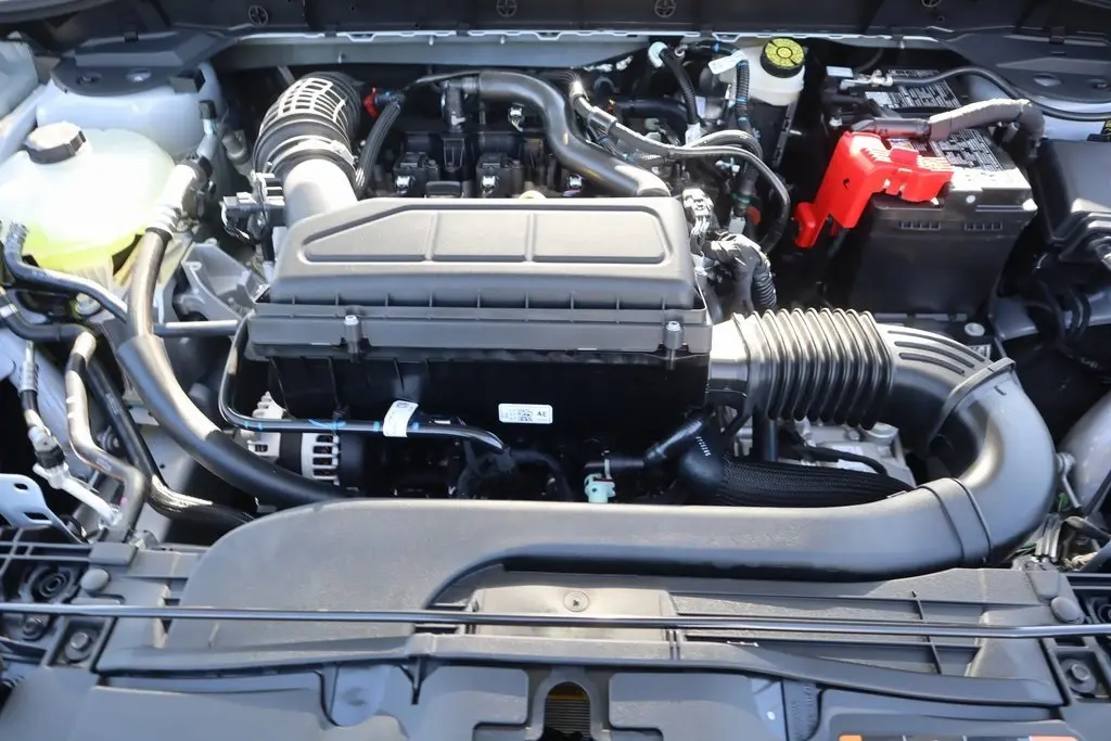 image-19