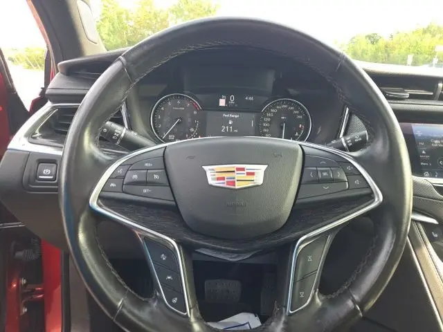 image-19