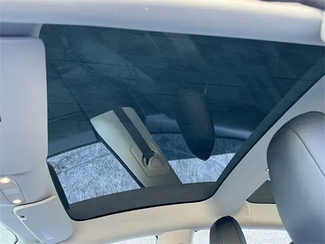 2019 Tesla Model 3 Long Range photo 15