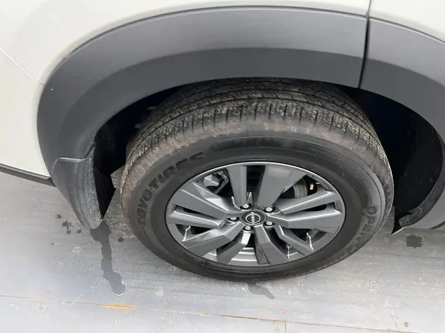 image-19