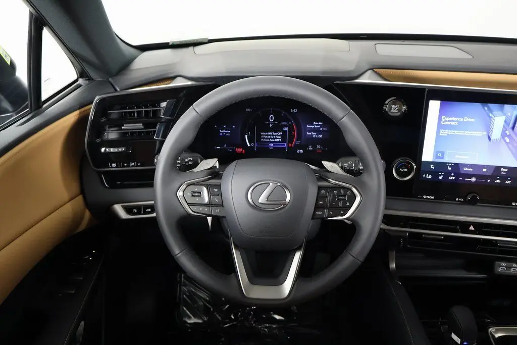 2025 Lexus RX 350 photo 2
