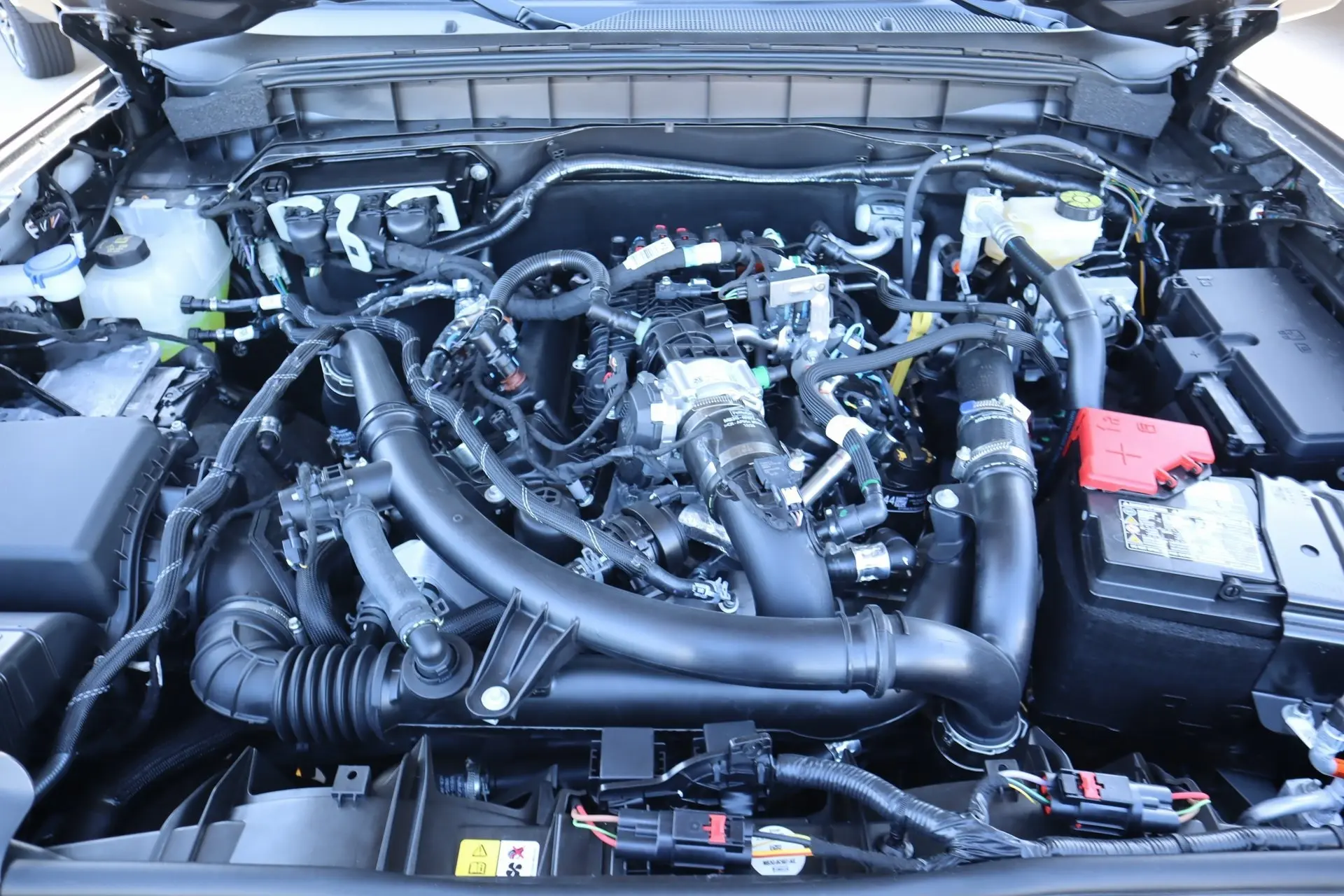 image-19