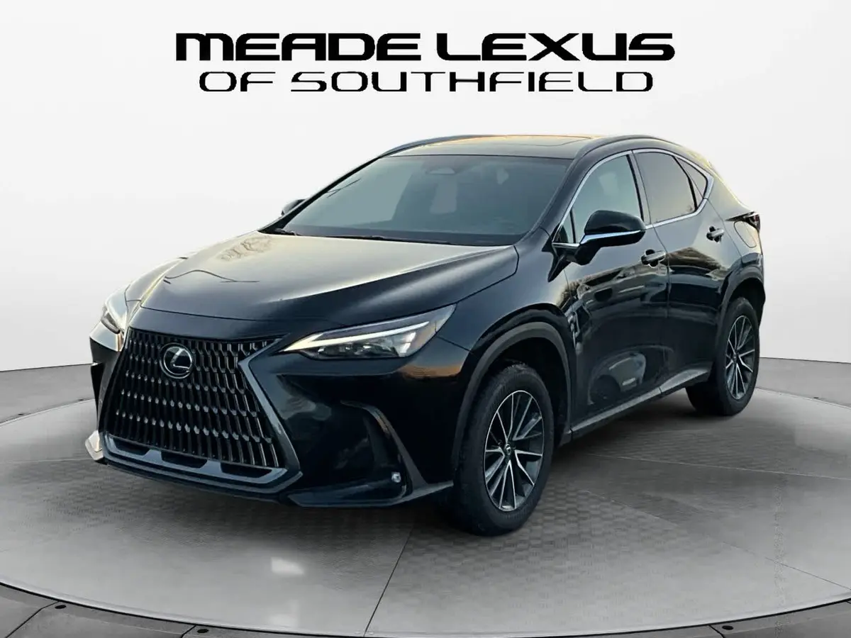 2024 Lexus NX Hybrid 350h's photo