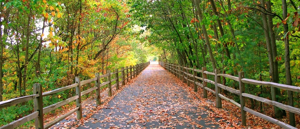 Blog Cover Image