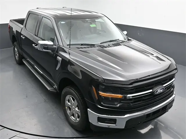 image-19