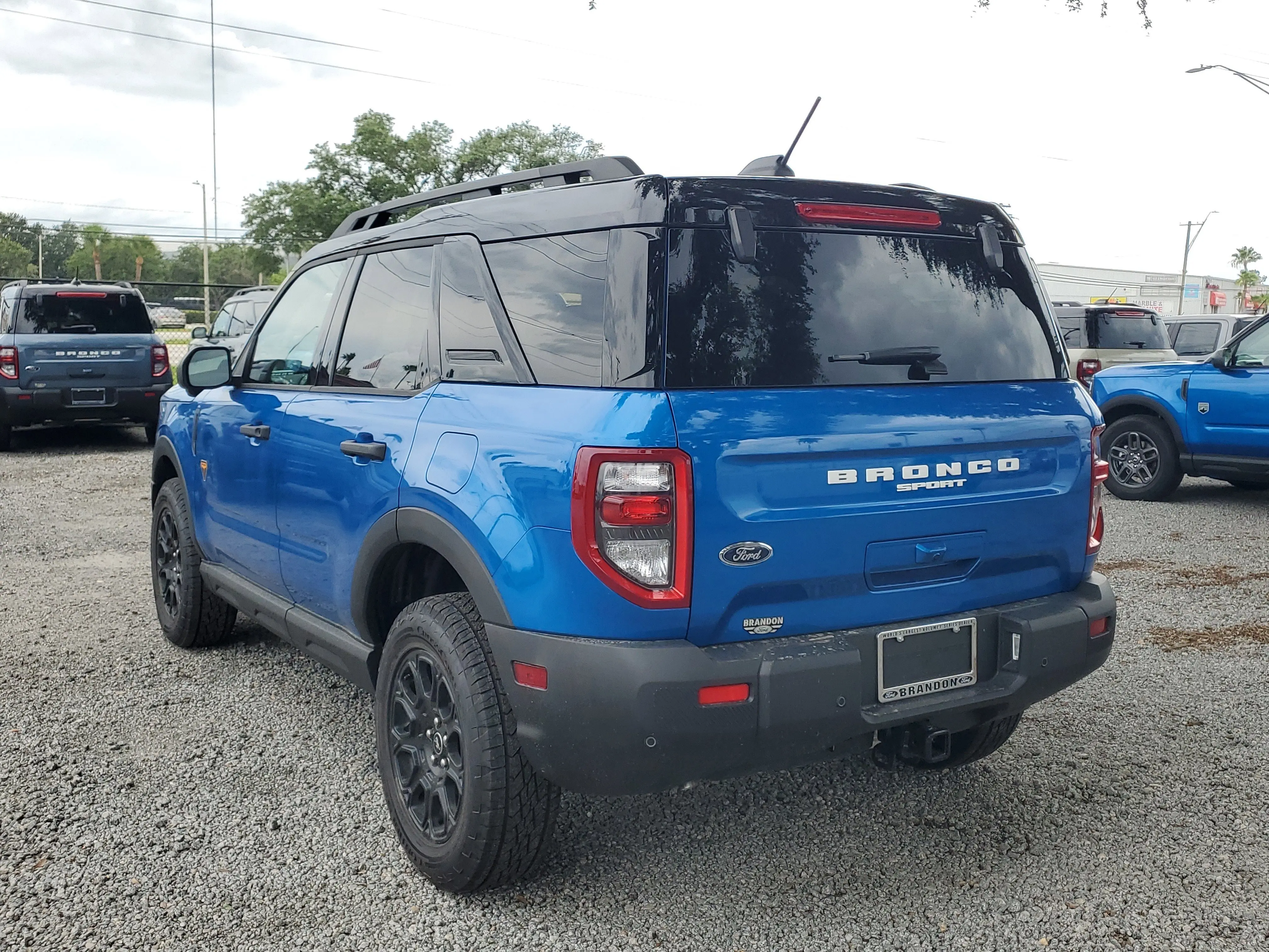 image-7