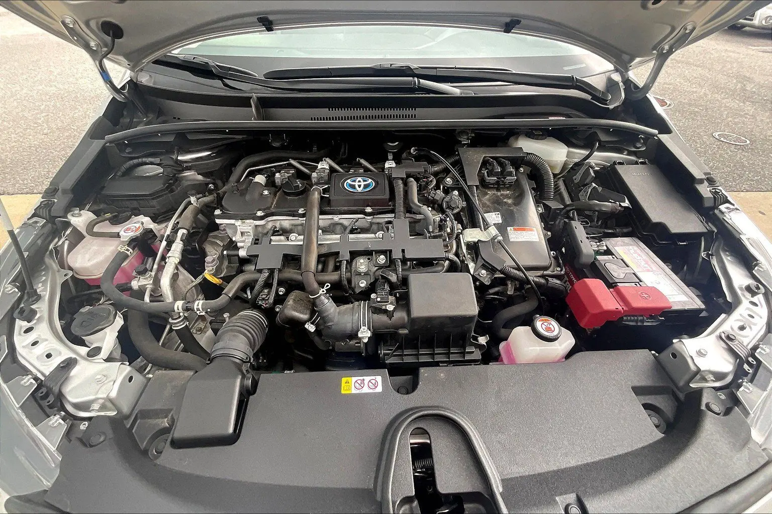 image-12