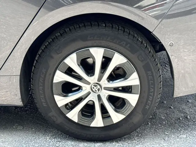 image-19