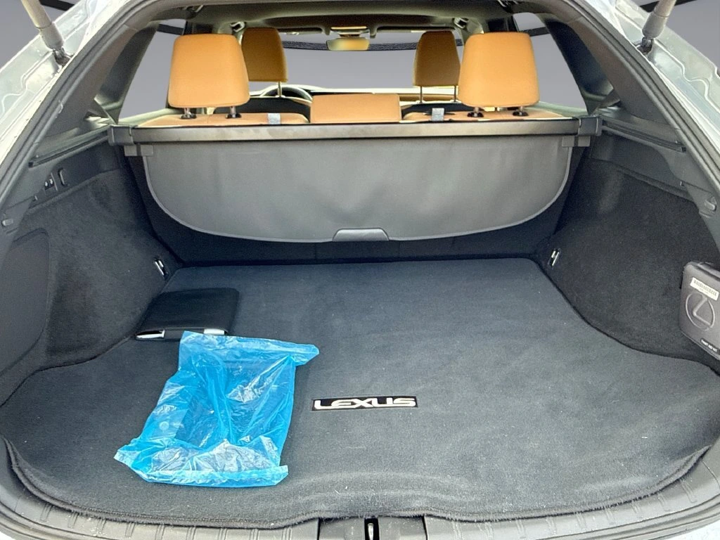 2026 Lexus RX 350 - Photo 13
