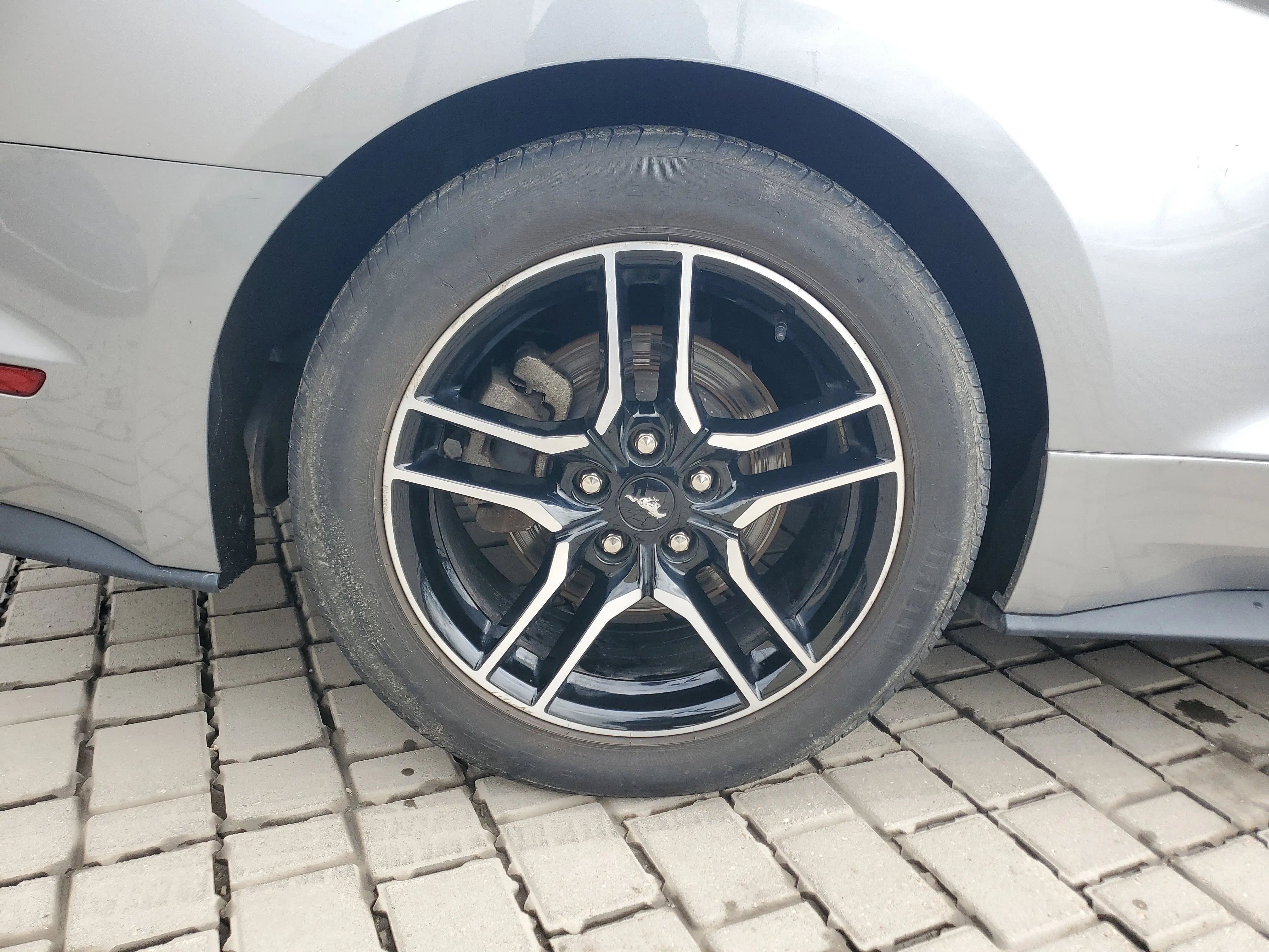 image-7