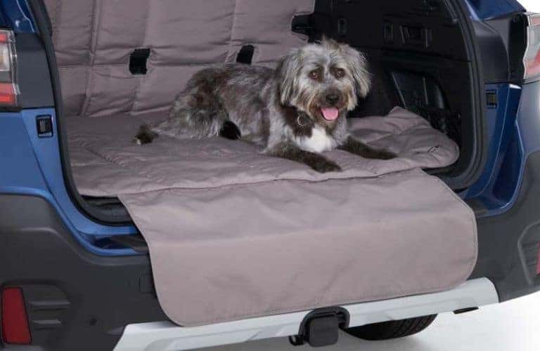Subaru Pet-Friendly Padded Cargo Liner