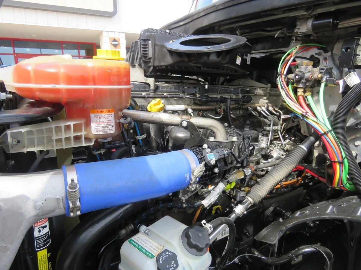 image-11
