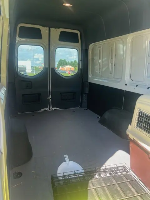 image-6