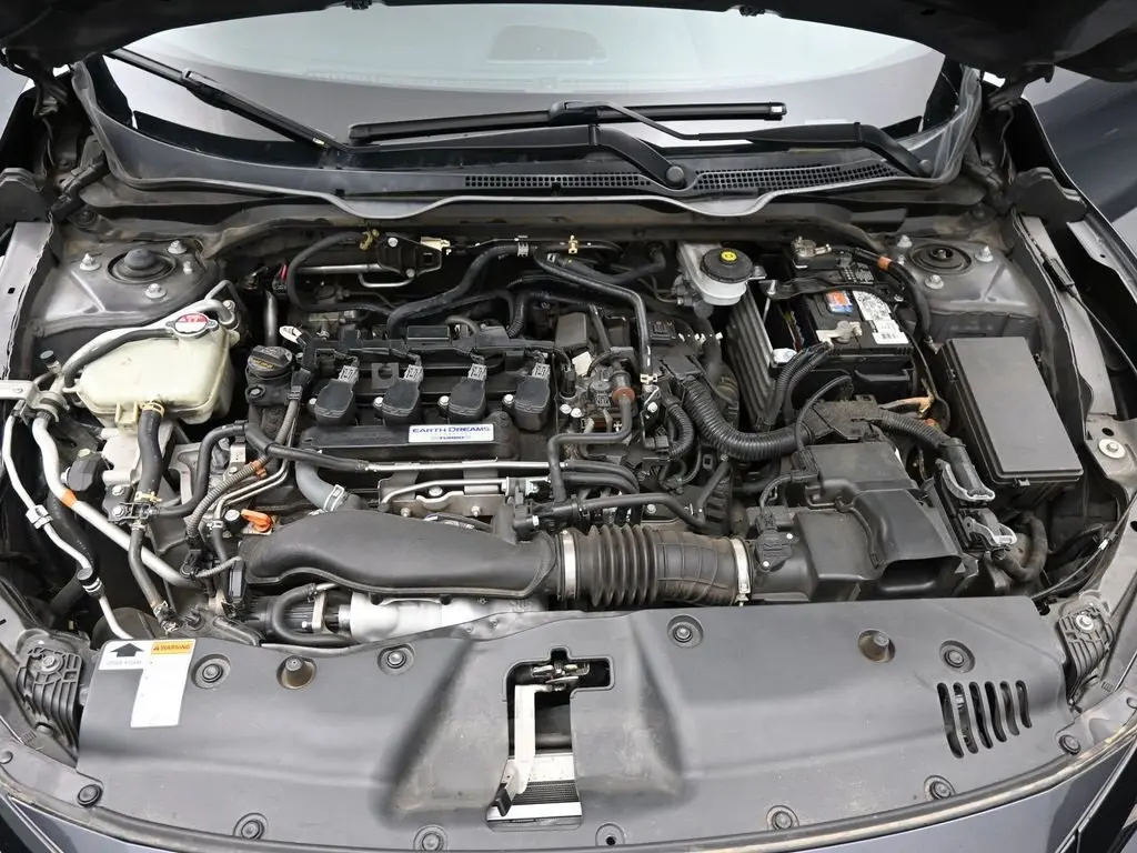 image-19