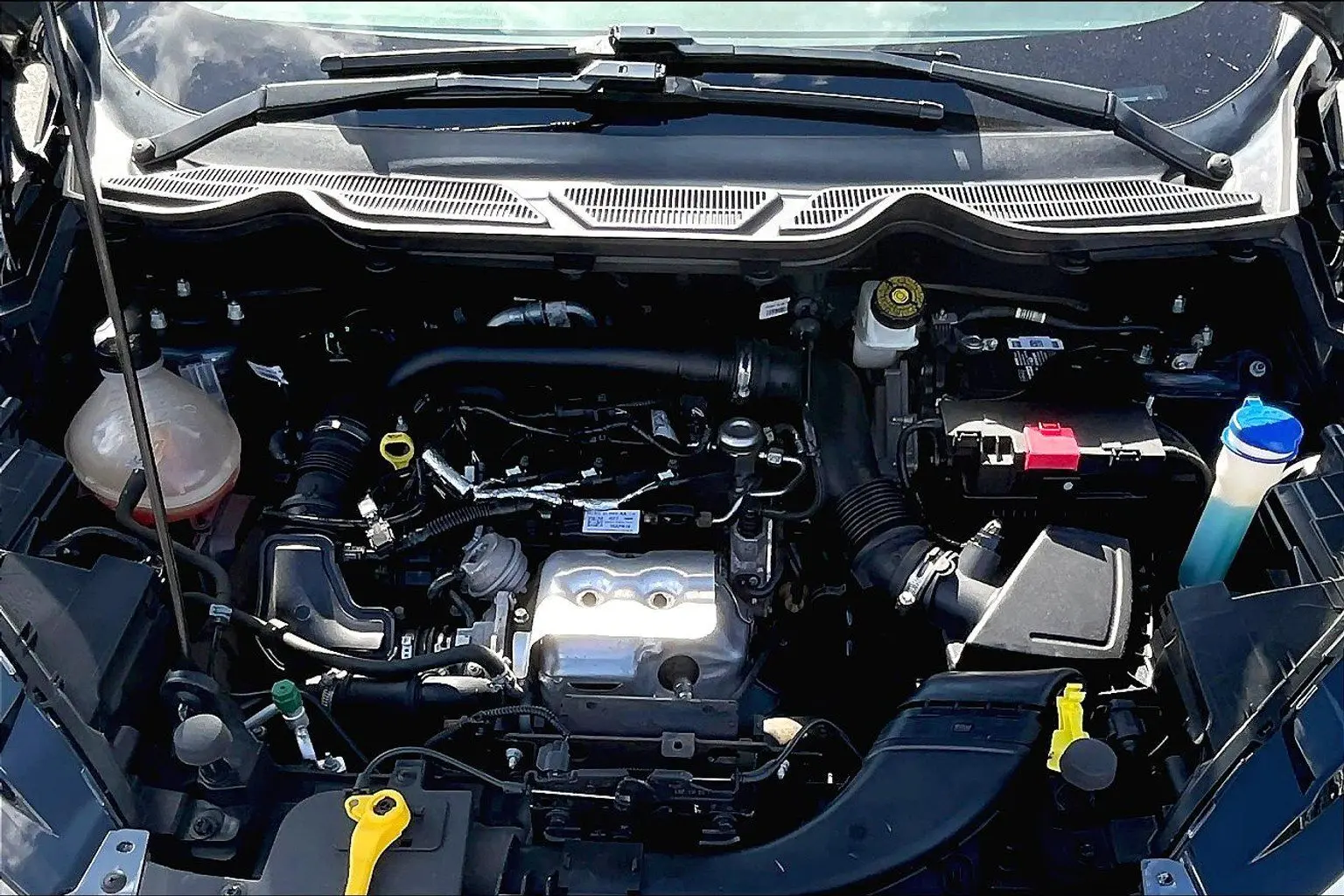 image-9