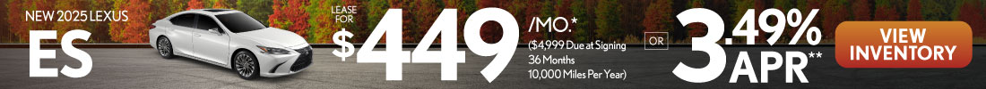 banner-image