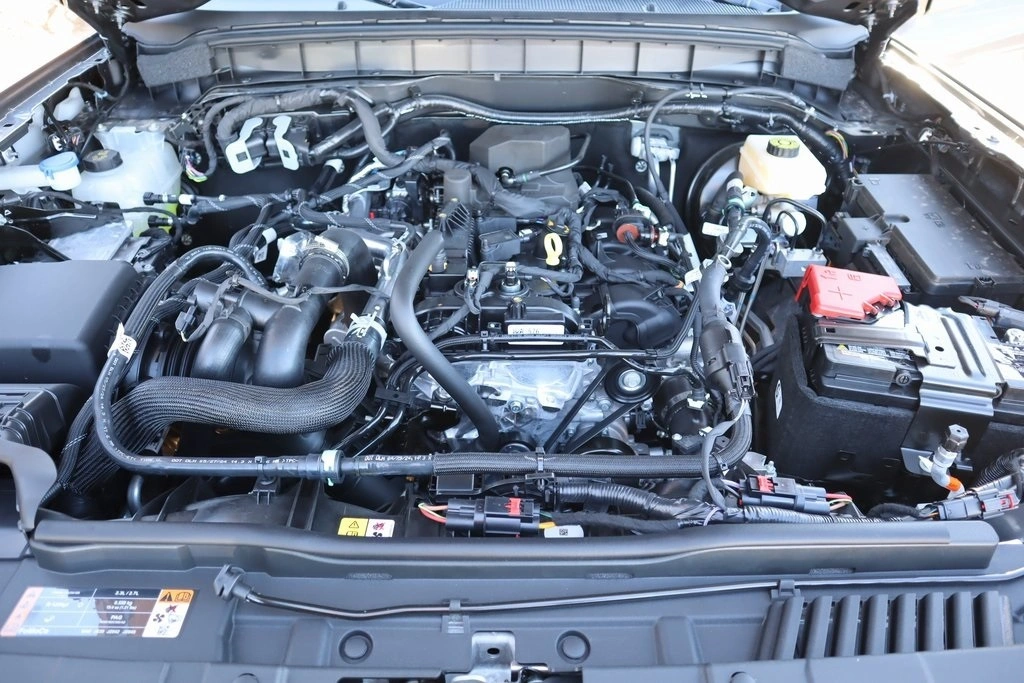 image-19