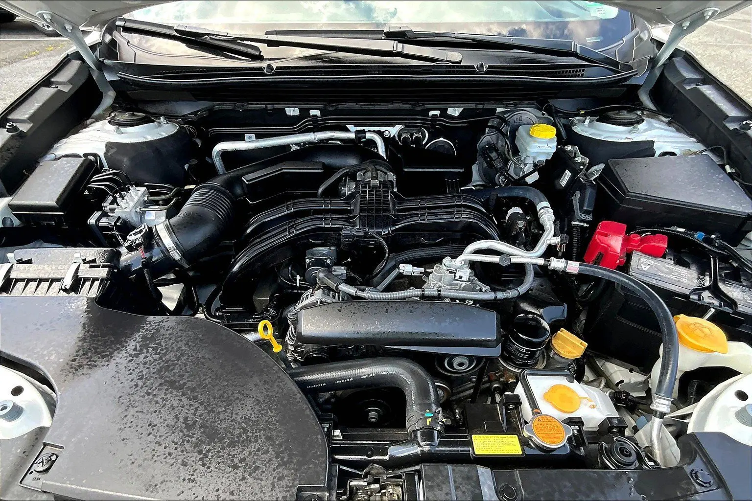 image-8