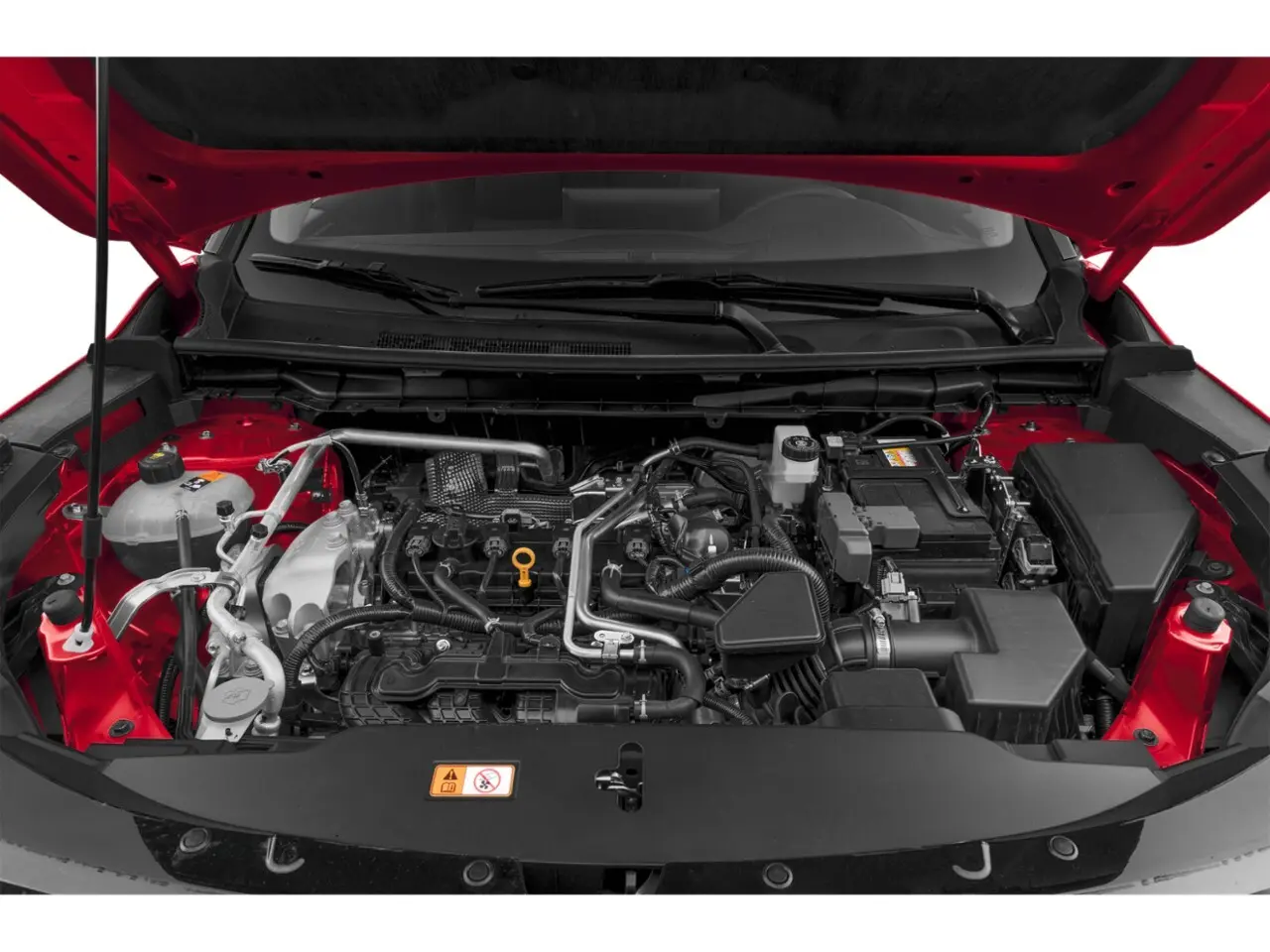image-8