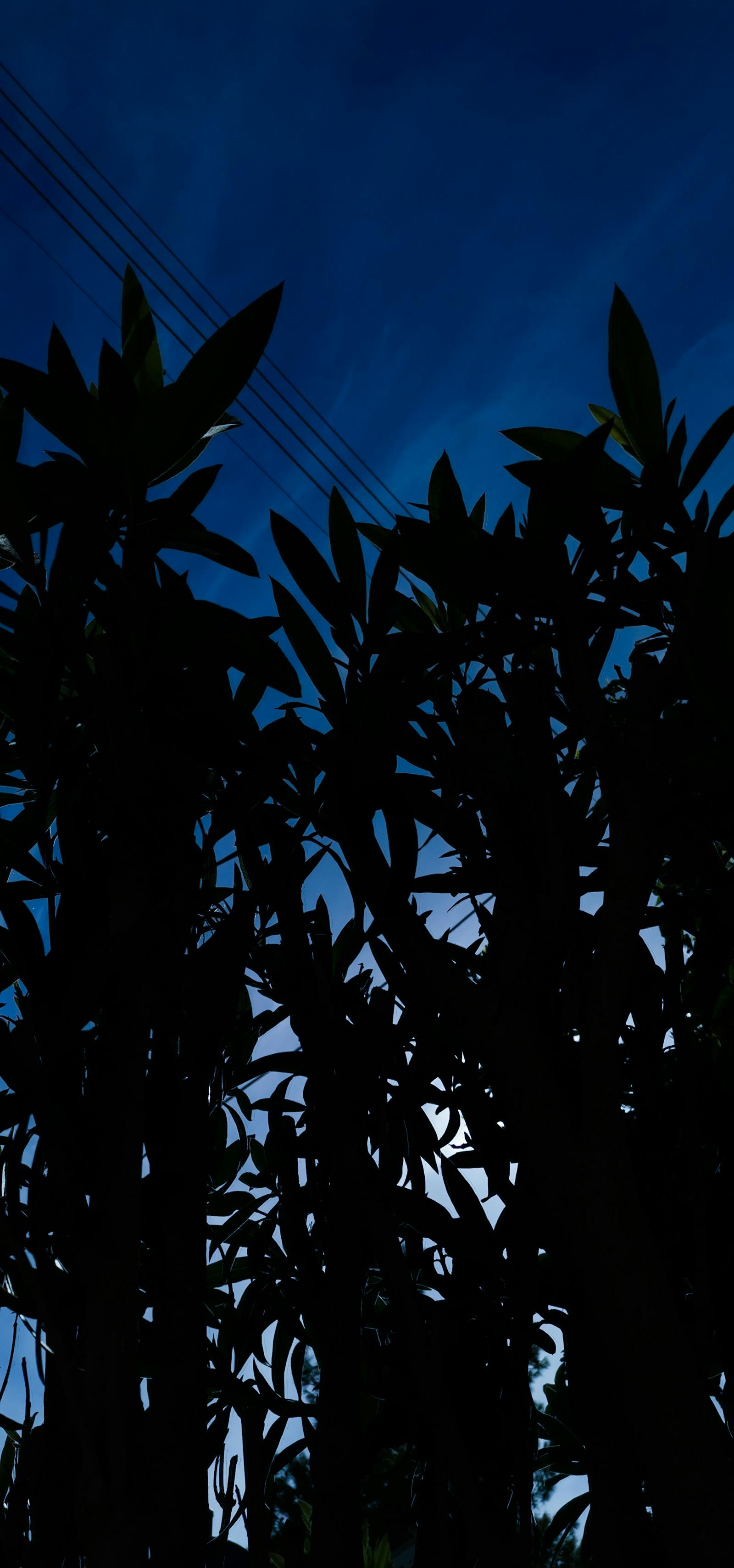 Compact sedan infotainment and steering wheel close-up