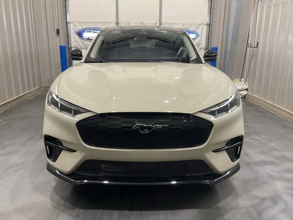 2025 Ford Mustang Mach-E Premium photo 2