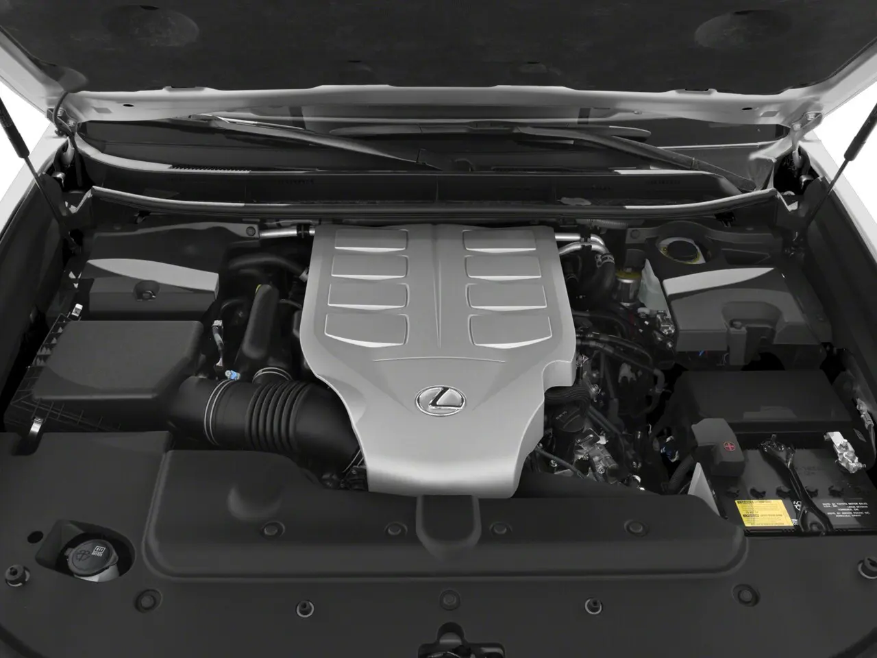 image-7