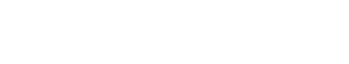 Dealer Logo Primary
