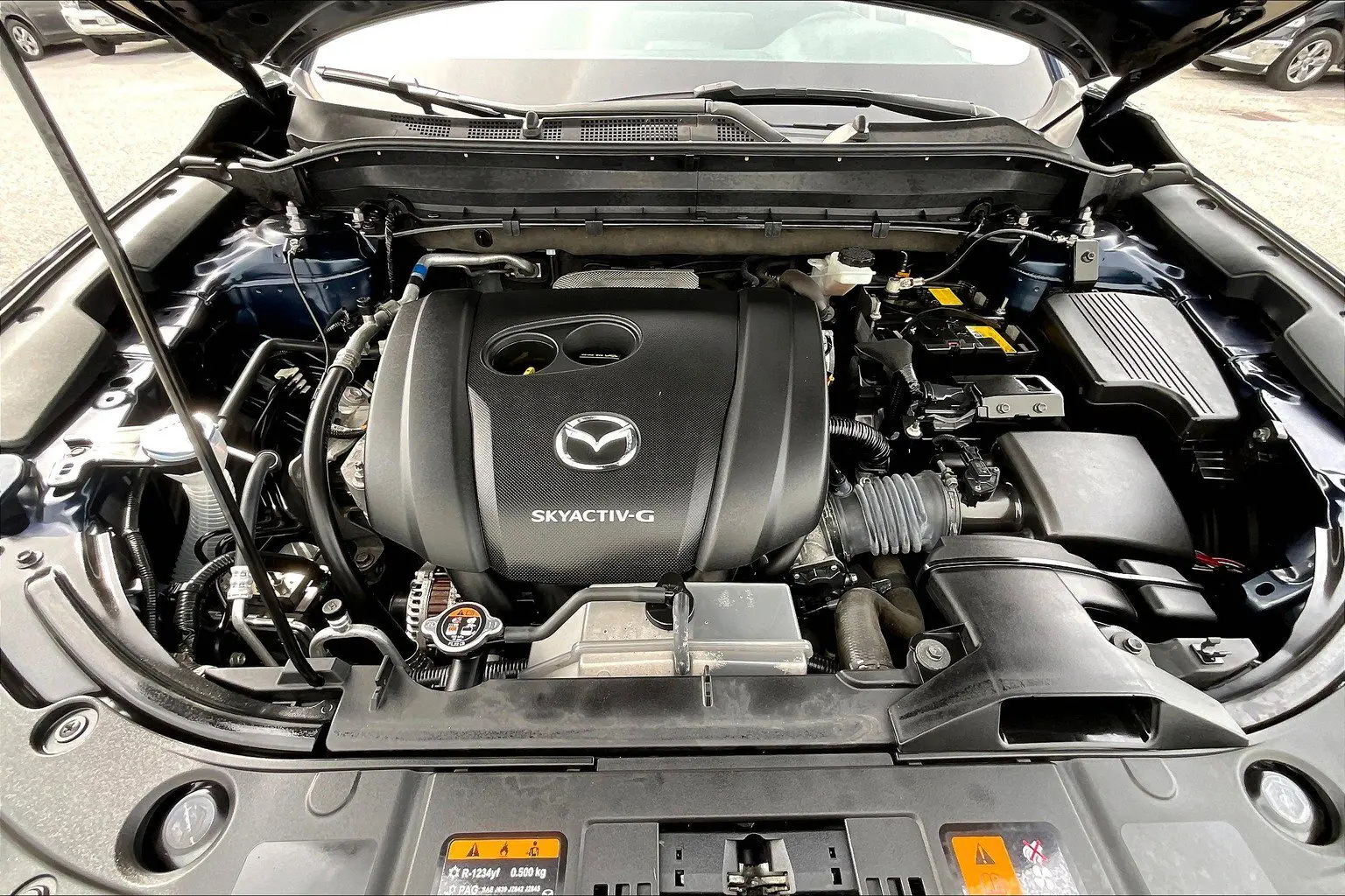 image-12