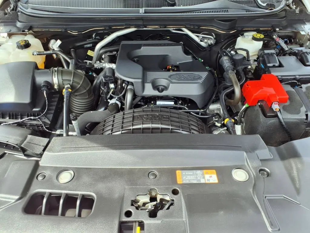 image-19