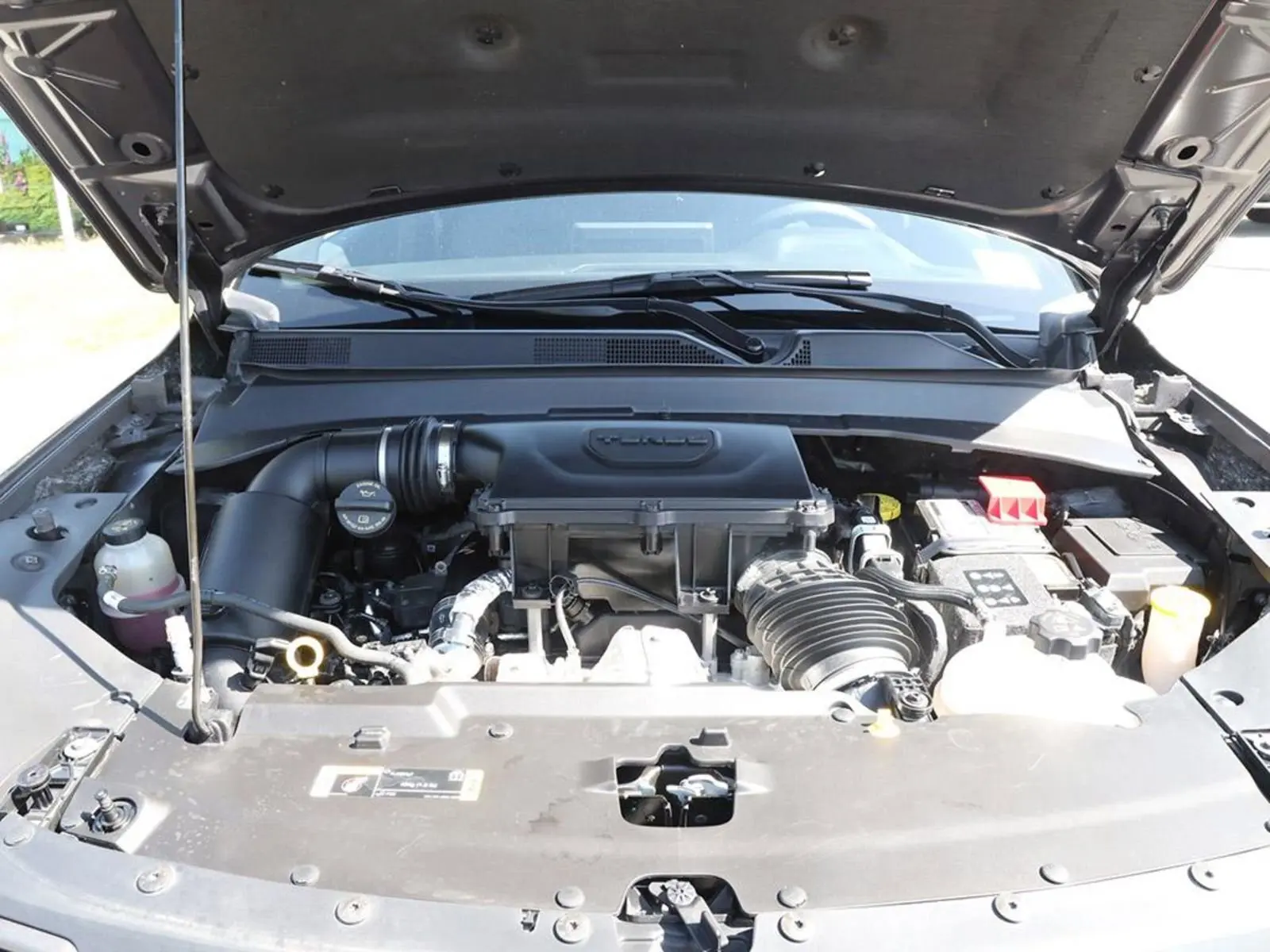 image-7