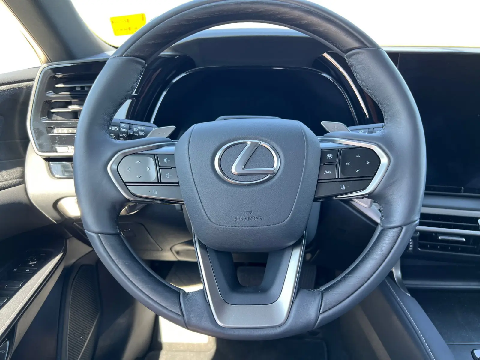 2024 Lexus RX 350h Luxury photo 12