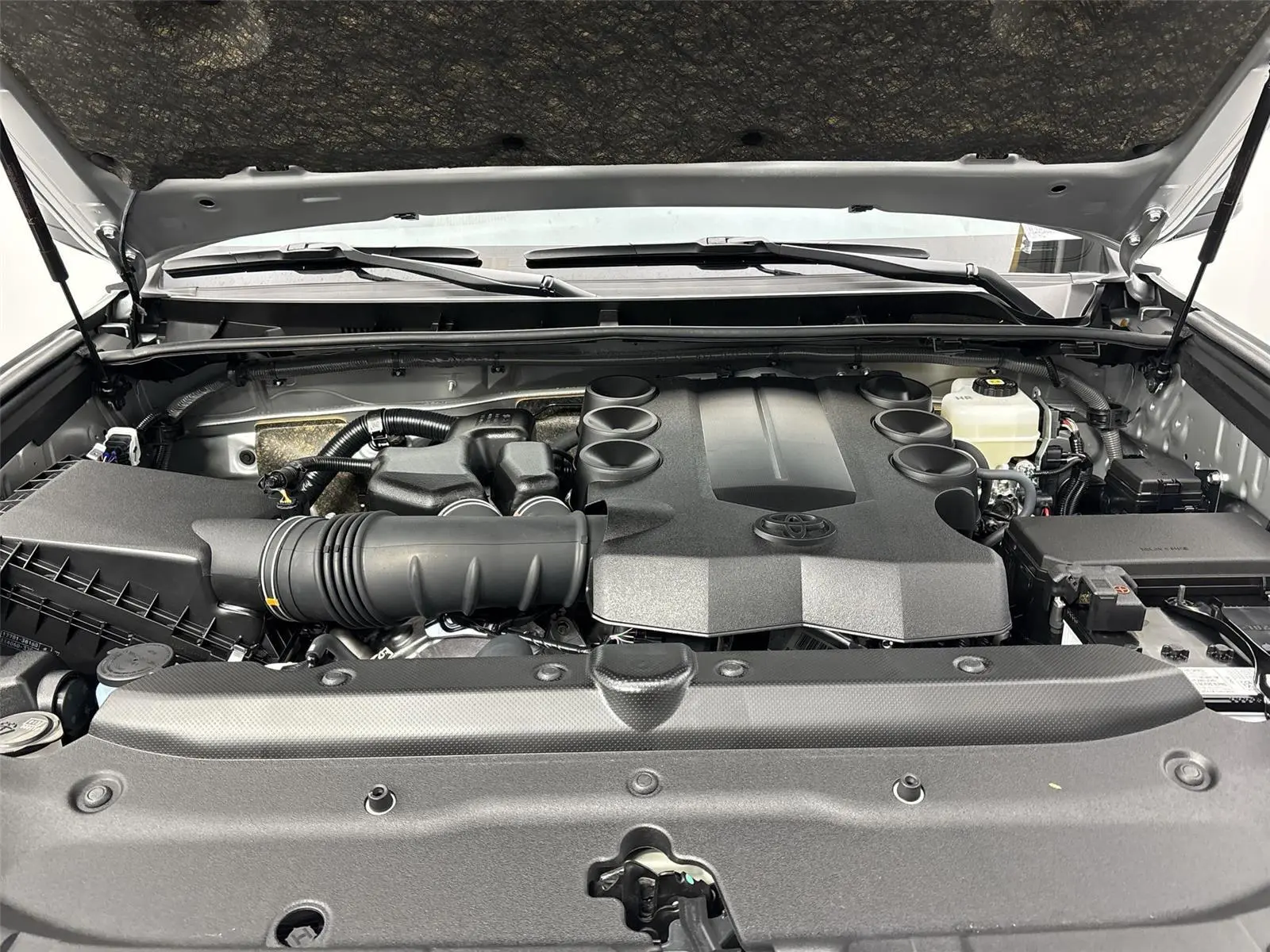 image-19