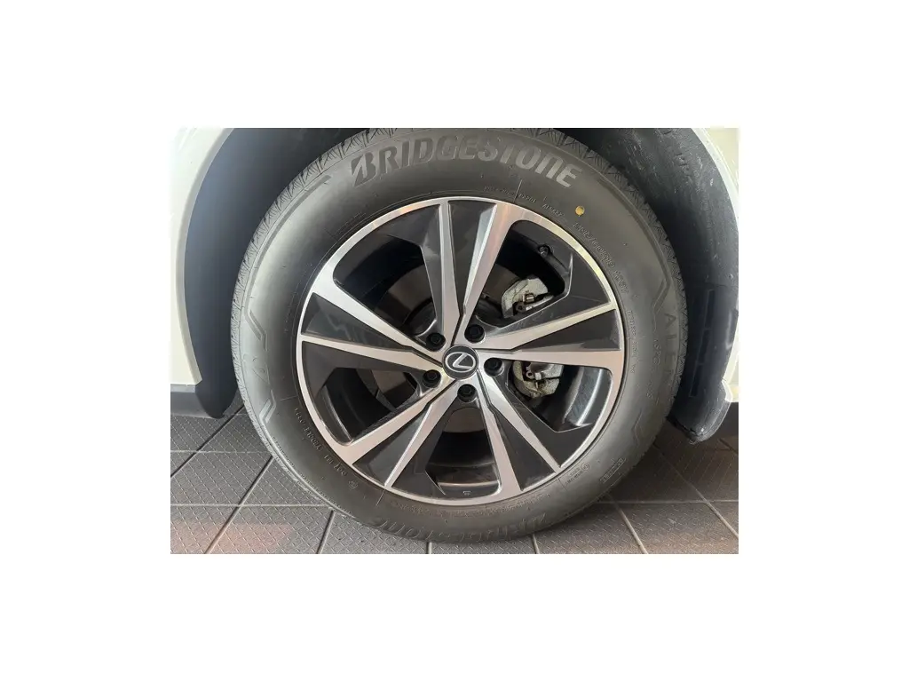 image-7