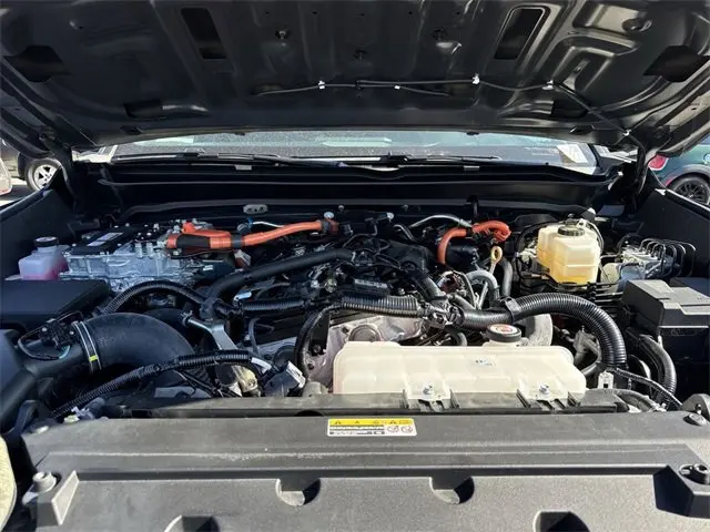 image-19