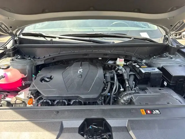 image-19