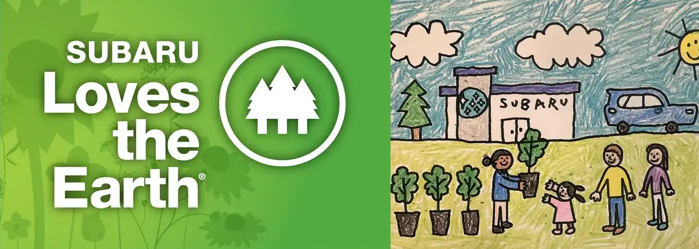 Blog Cover Image