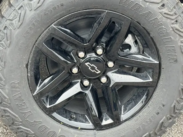 image-11