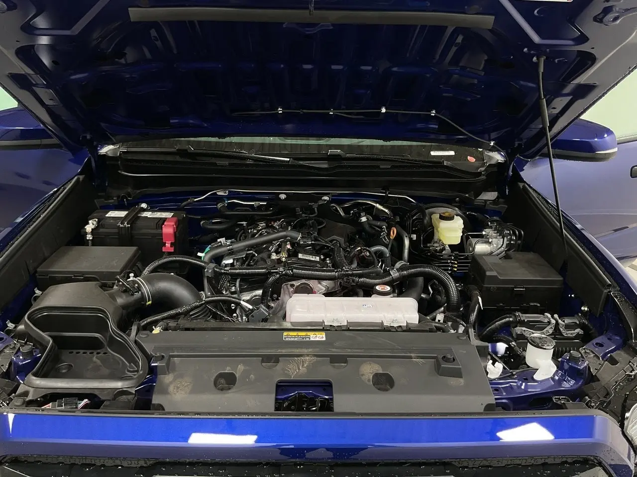 image-19