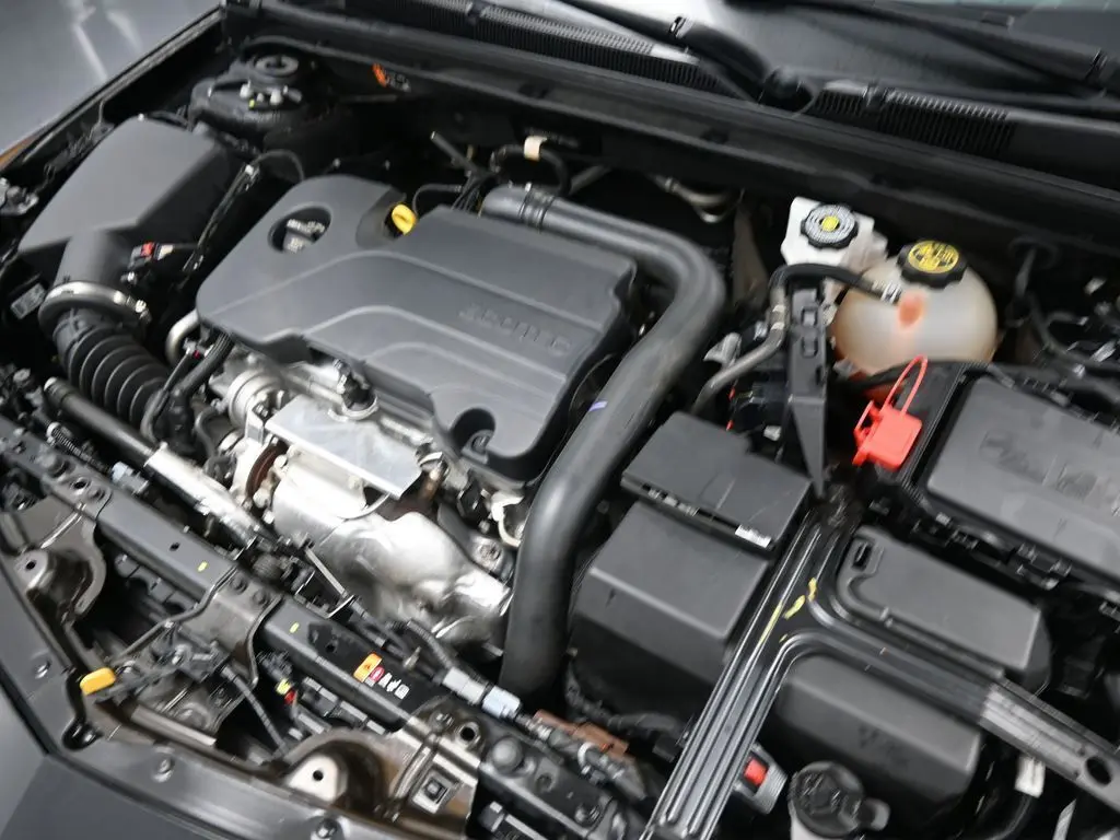 image-13