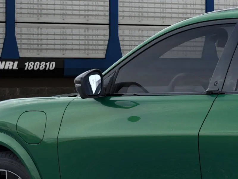 image-19